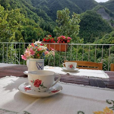 B&B Donnini Firenzuola Zewnętrze zdjęcie