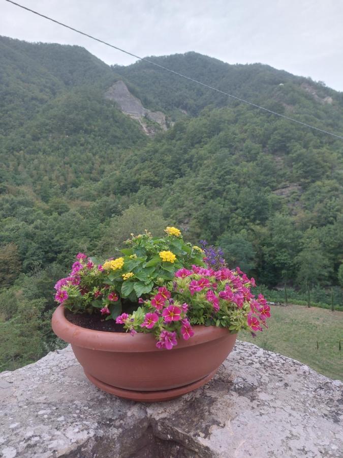 B&B Donnini Firenzuola Zewnętrze zdjęcie