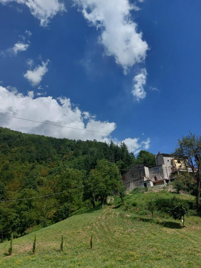 B&B Donnini Firenzuola Zewnętrze zdjęcie